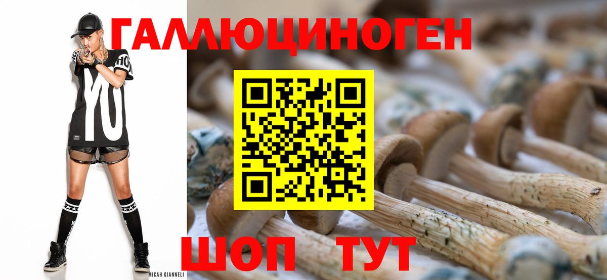 Псилоцибиновые грибы прущие грибы Соль-Илецк